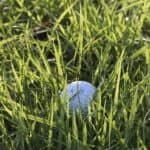 Golfbälle müssen wieder eingesammelt werden