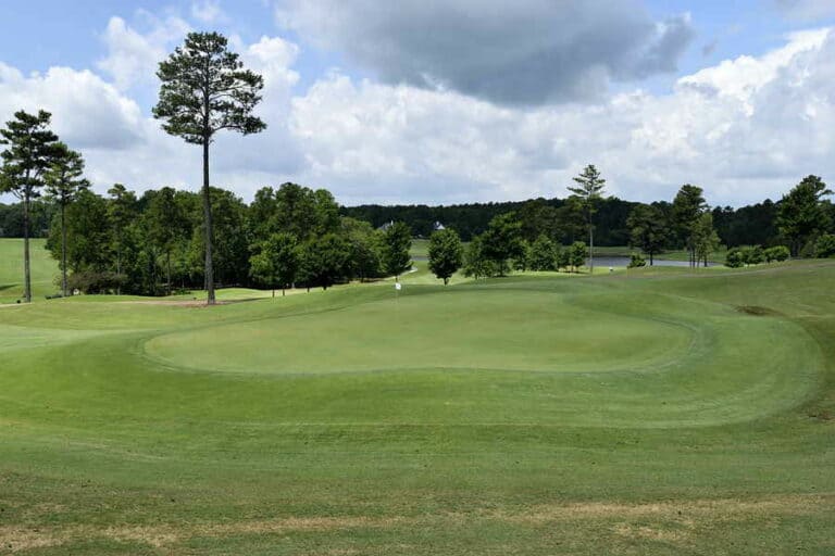 Golfplätze nehmen ein großes Areal ein