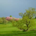 Golfplatz gut bewässert