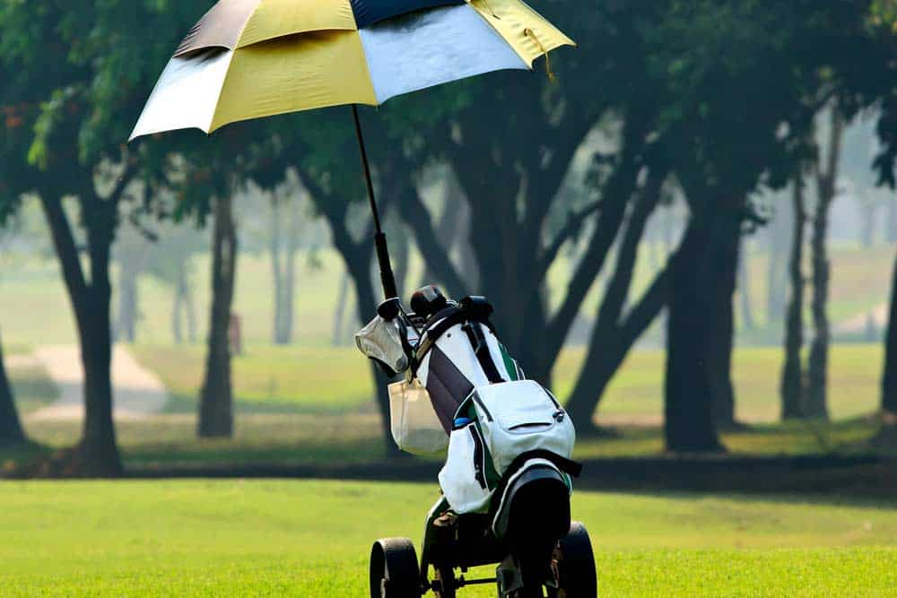 Schirmhalter Golf Trolley (depositphotos.com)