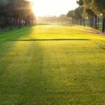 Fairway (depositphotos.com)